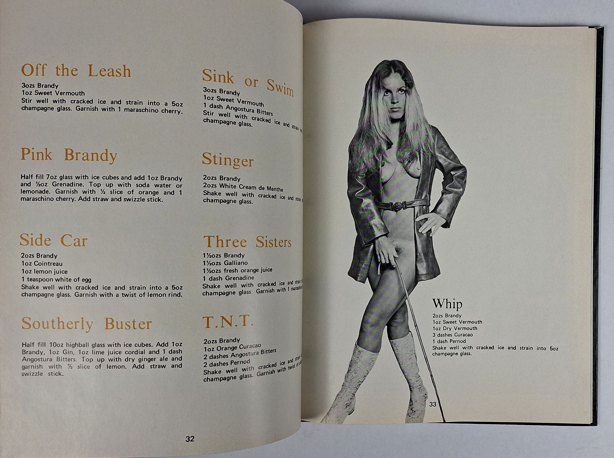The Bachelor's Bar Companion: A Guide for Unsubtle Seducers - Image 4