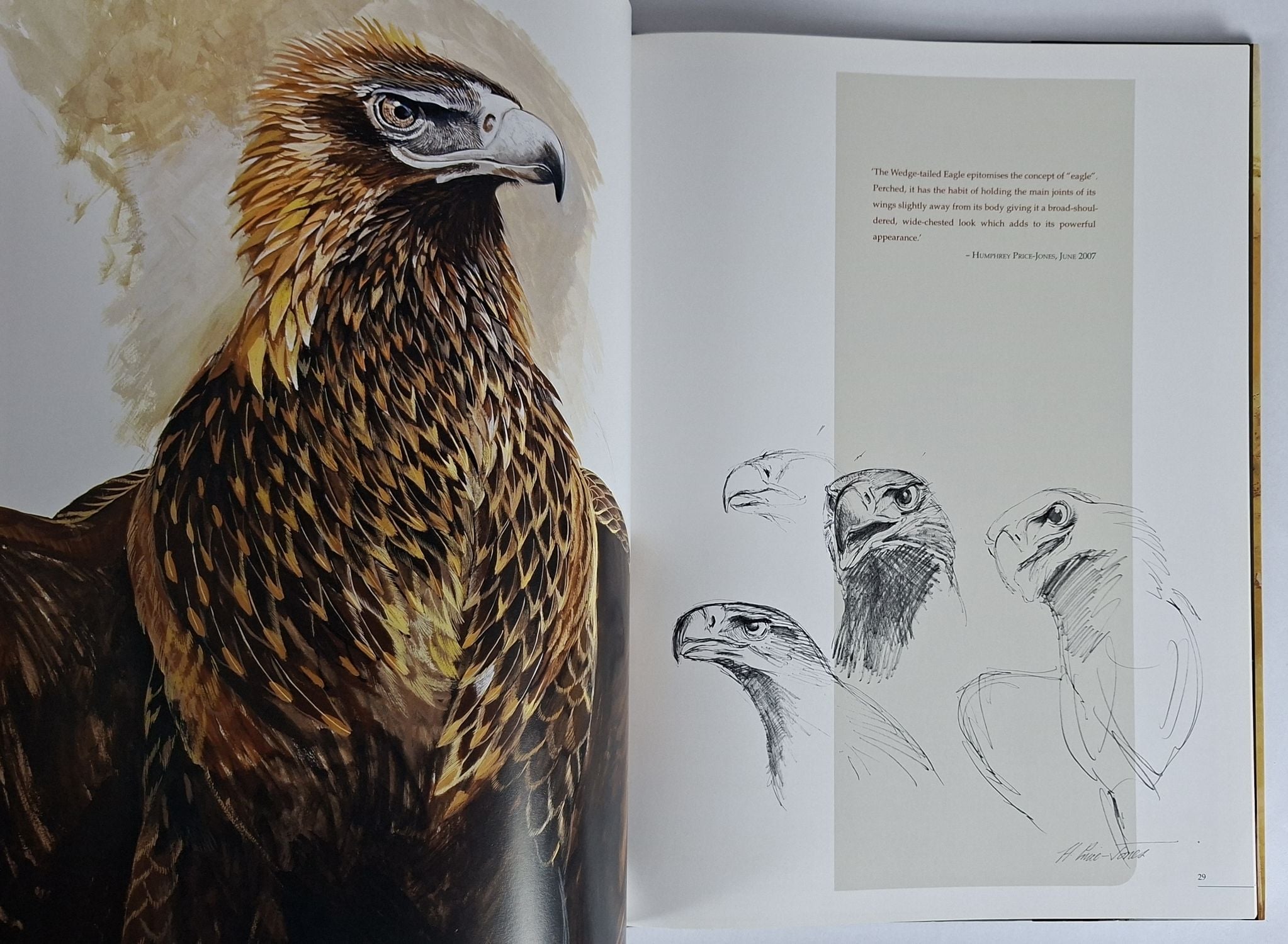 Spirit of the Wedge-Tailed Eagle: The Art of Humphrey Price-Jones - Image 3