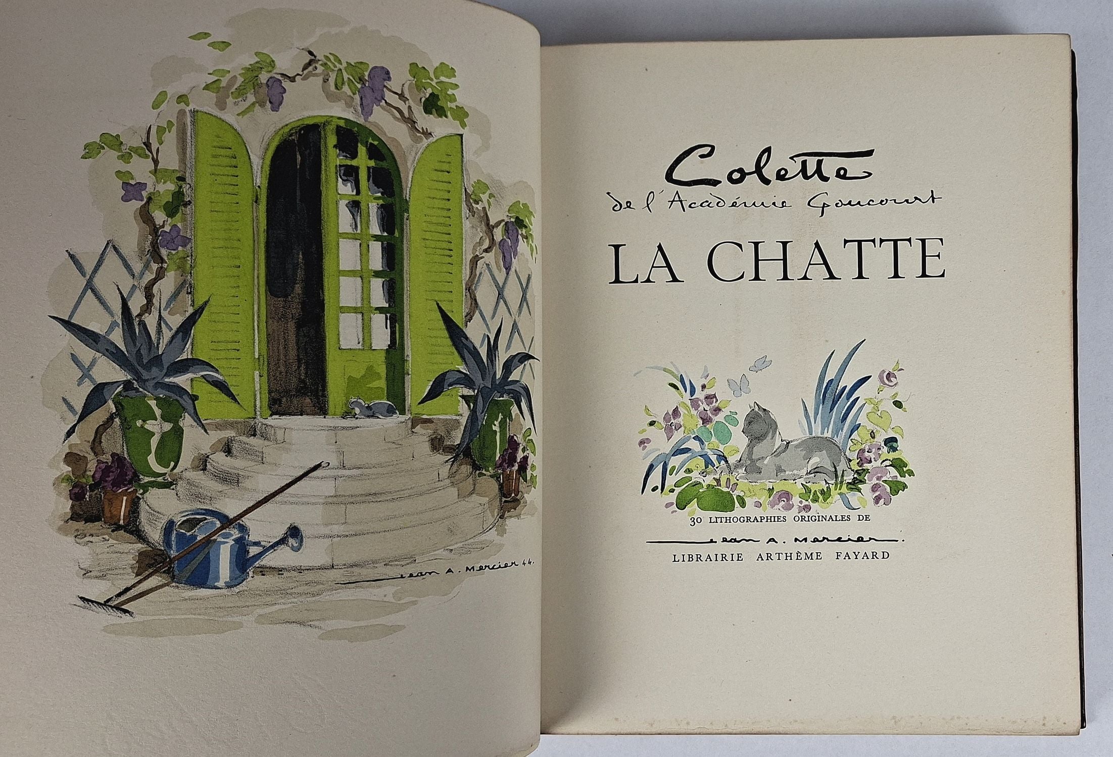 La Chatte - Image 4