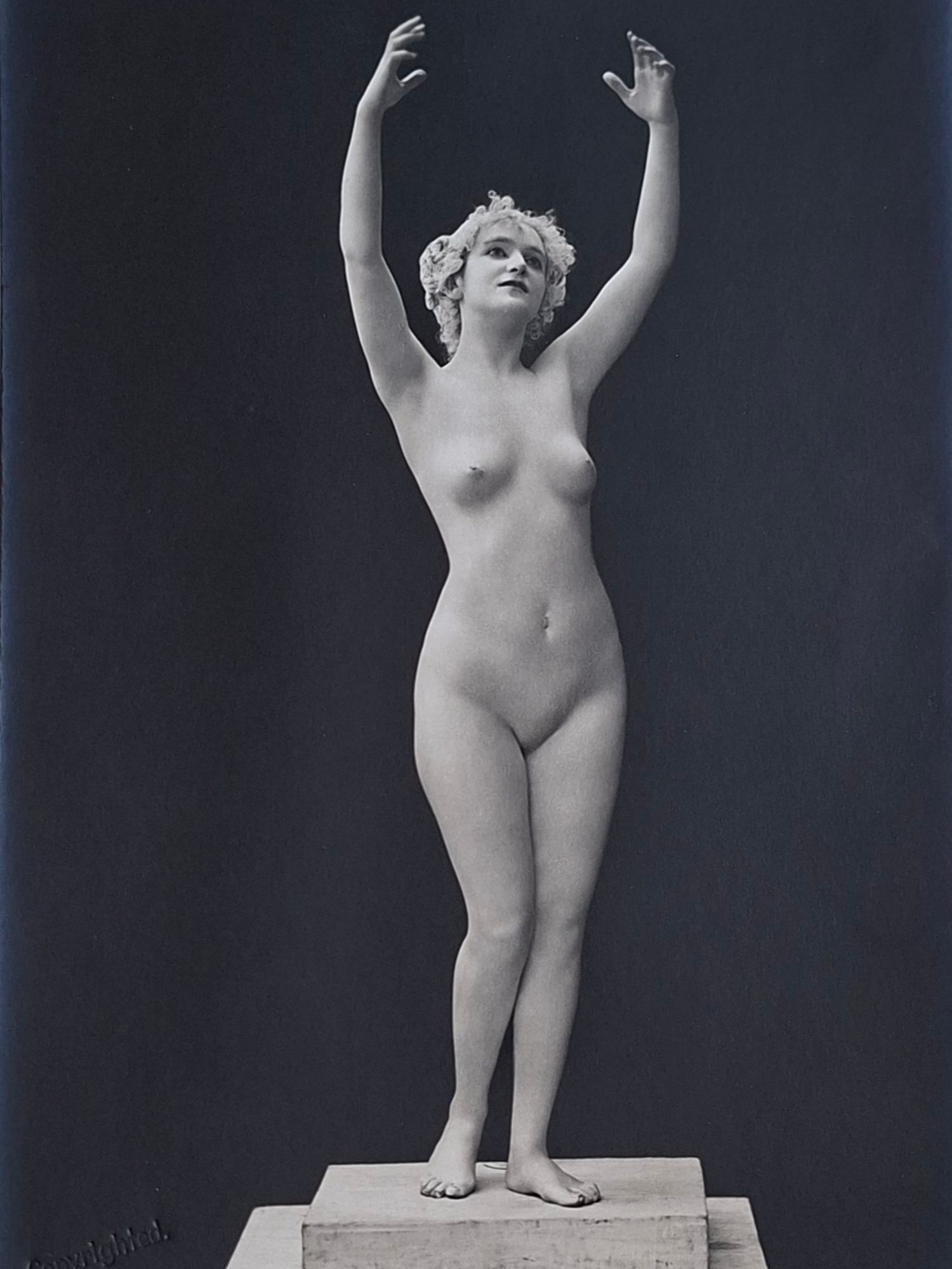Modern Art and Nature - Image 6