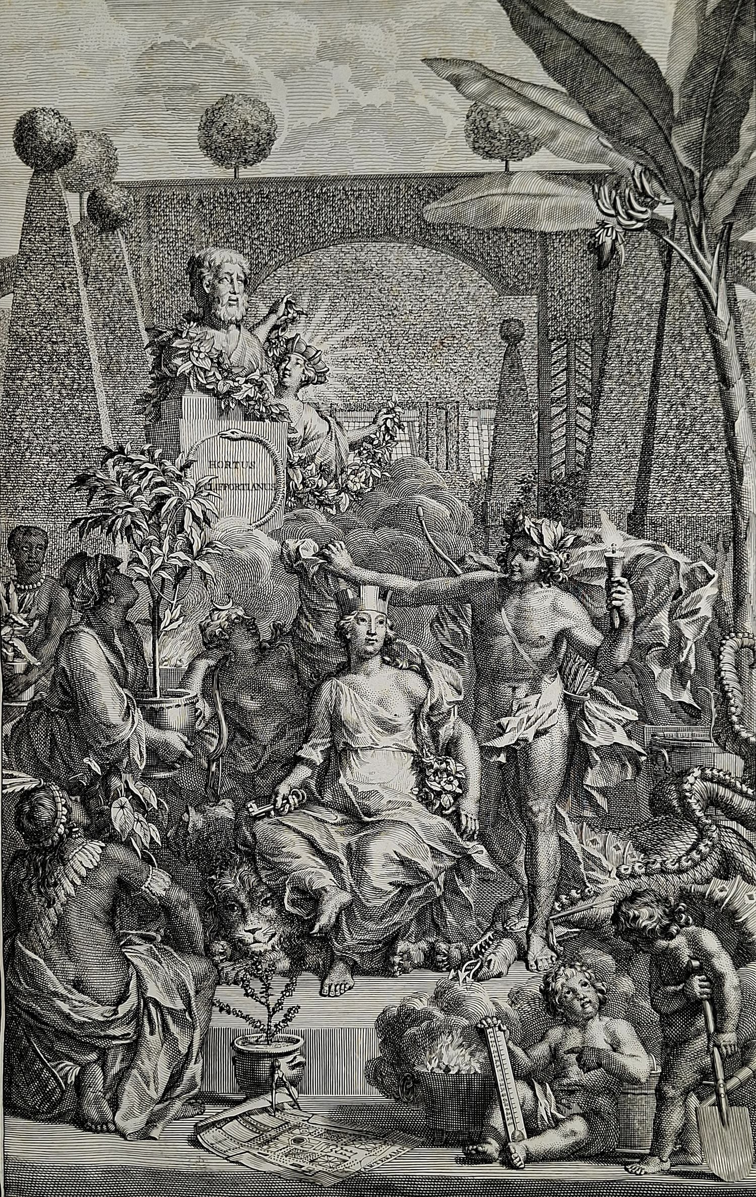 Hortus Cliffortianus - Image 2