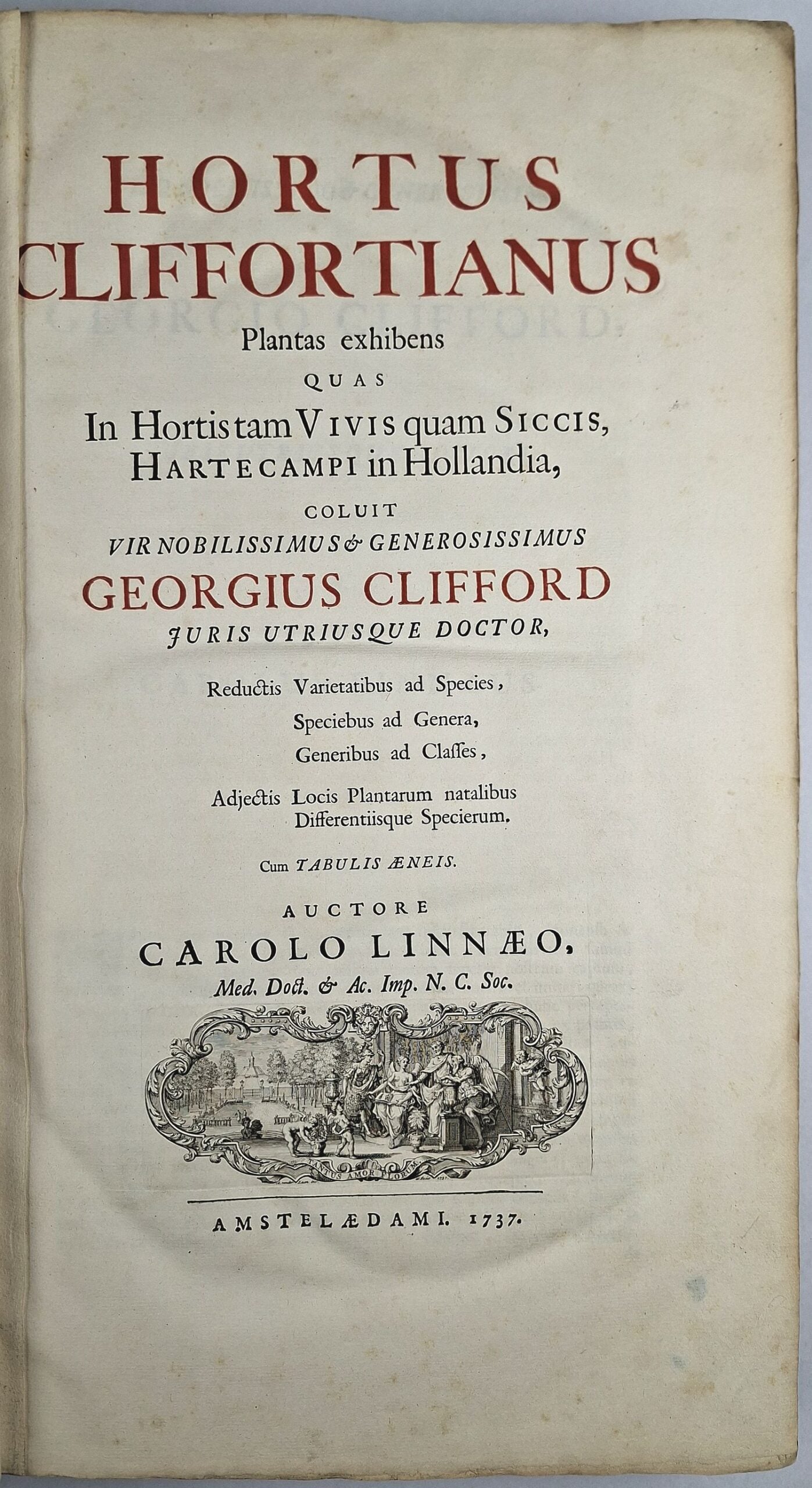 Hortus Cliffortianus - Image 8