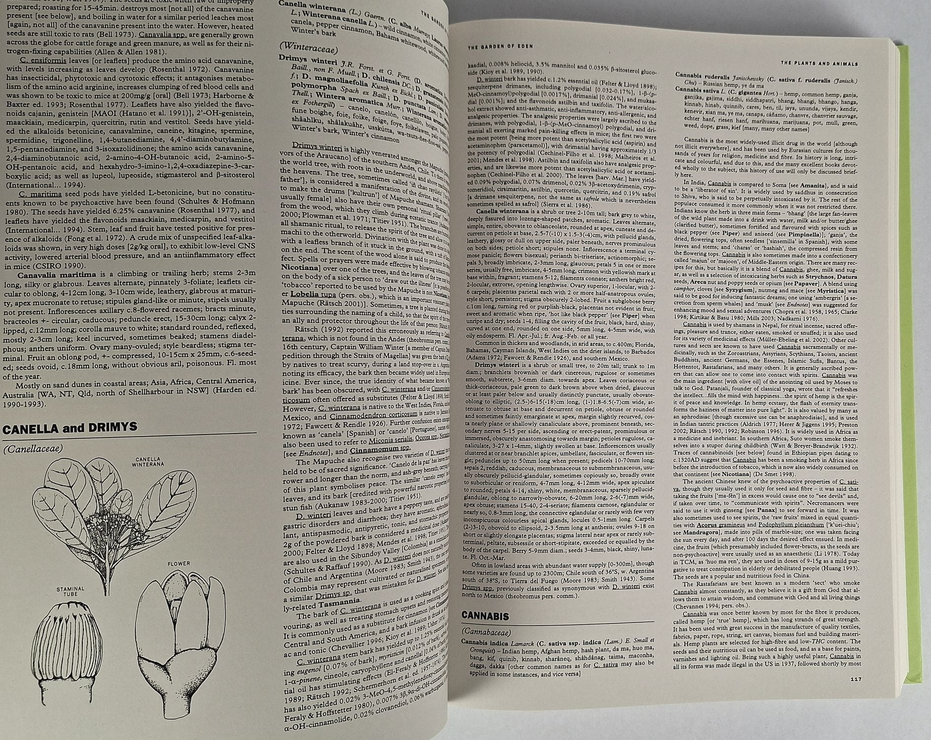 Garden of Eden: The Shamanic Use of Psychoactive Flora and Fauna, and the Study of Consciousness - Image 2