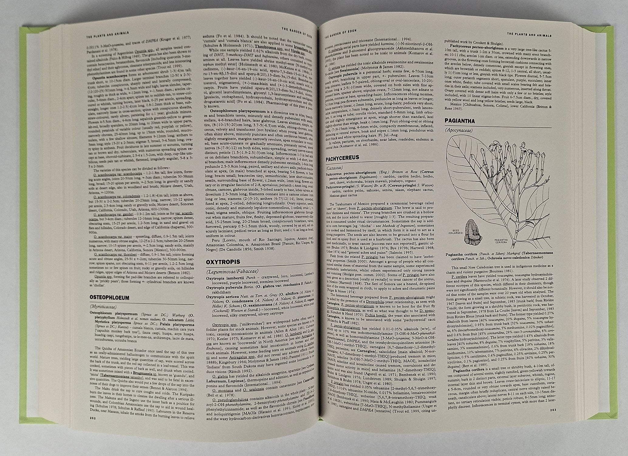 Garden of Eden: The Shamanic Use of Psychoactive Flora and Fauna, and the Study of Consciousness - Image 3