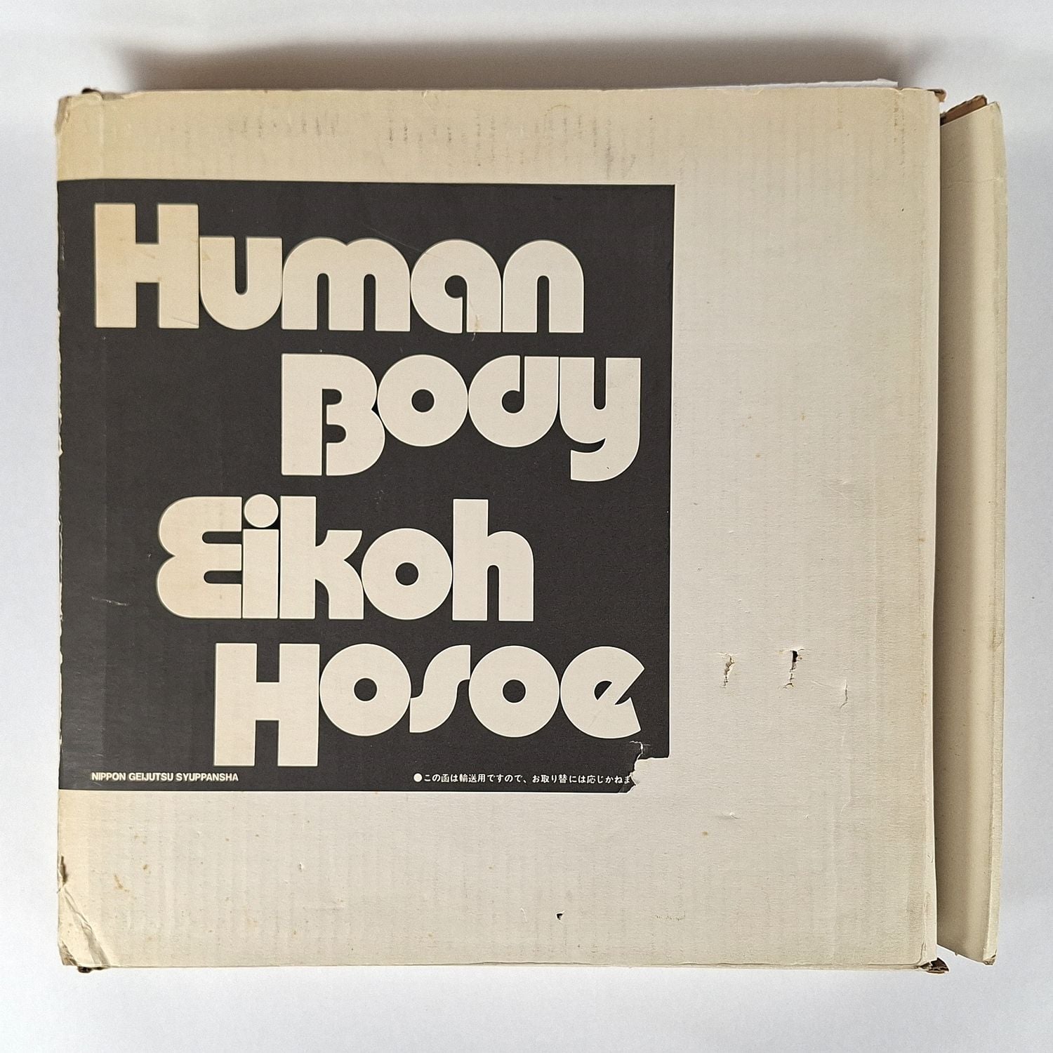 Human Body - Image 7