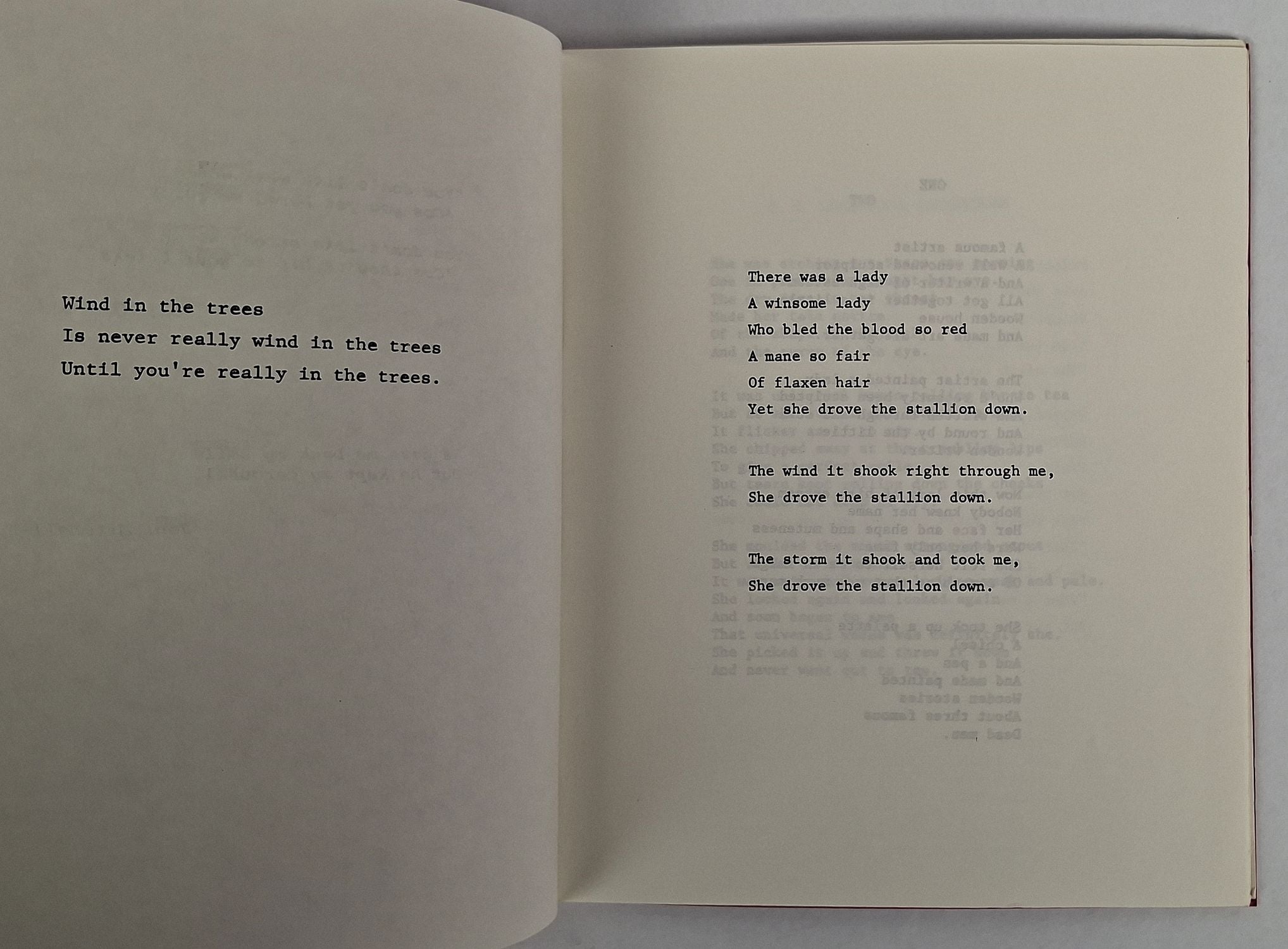 Rumpledbutstillskin: Poems by Helen Bansemer - Image 2