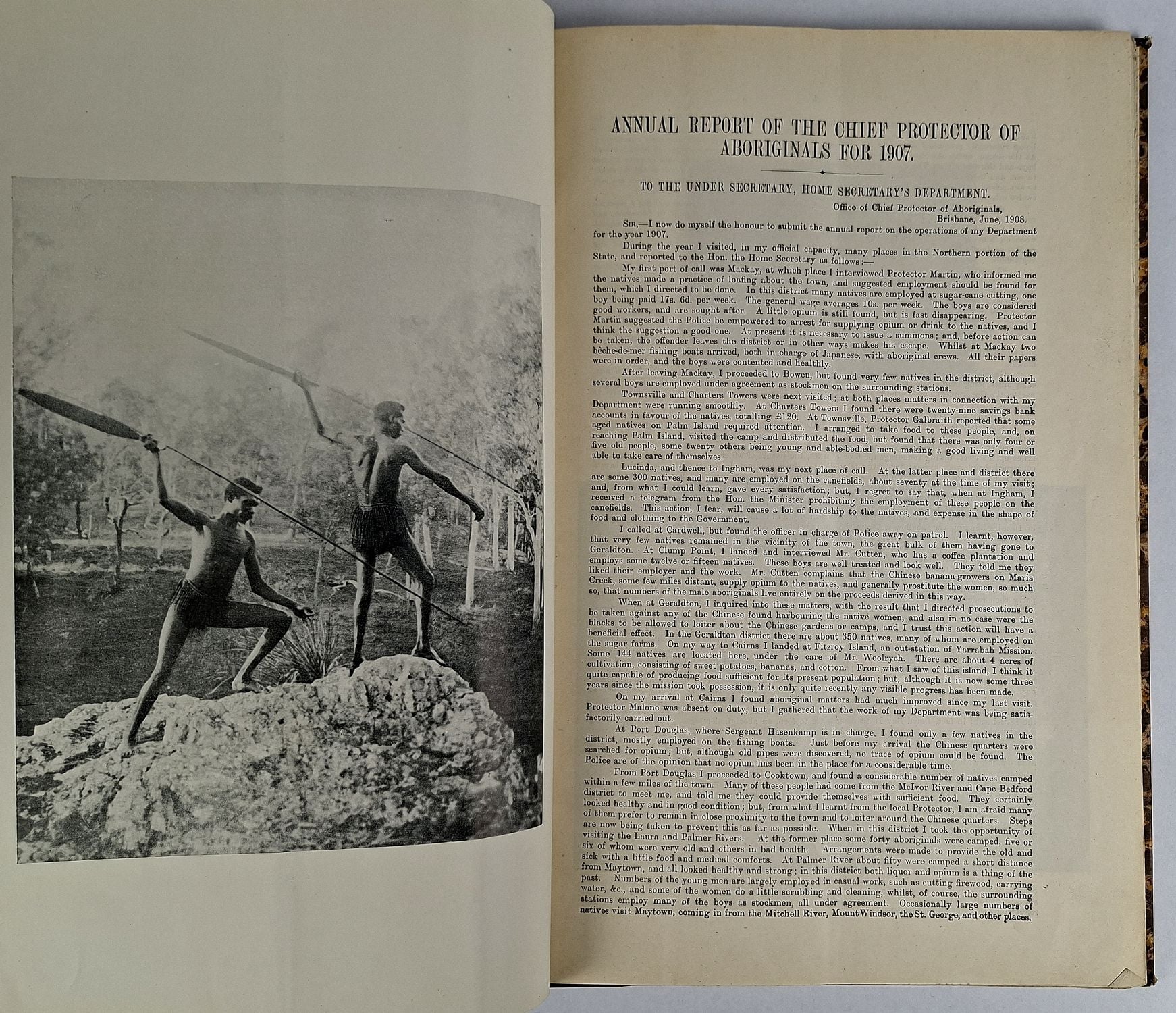Annual Report of the Northern Protector / Chief Protector of Aboriginals, 1903-1909 - Image 2