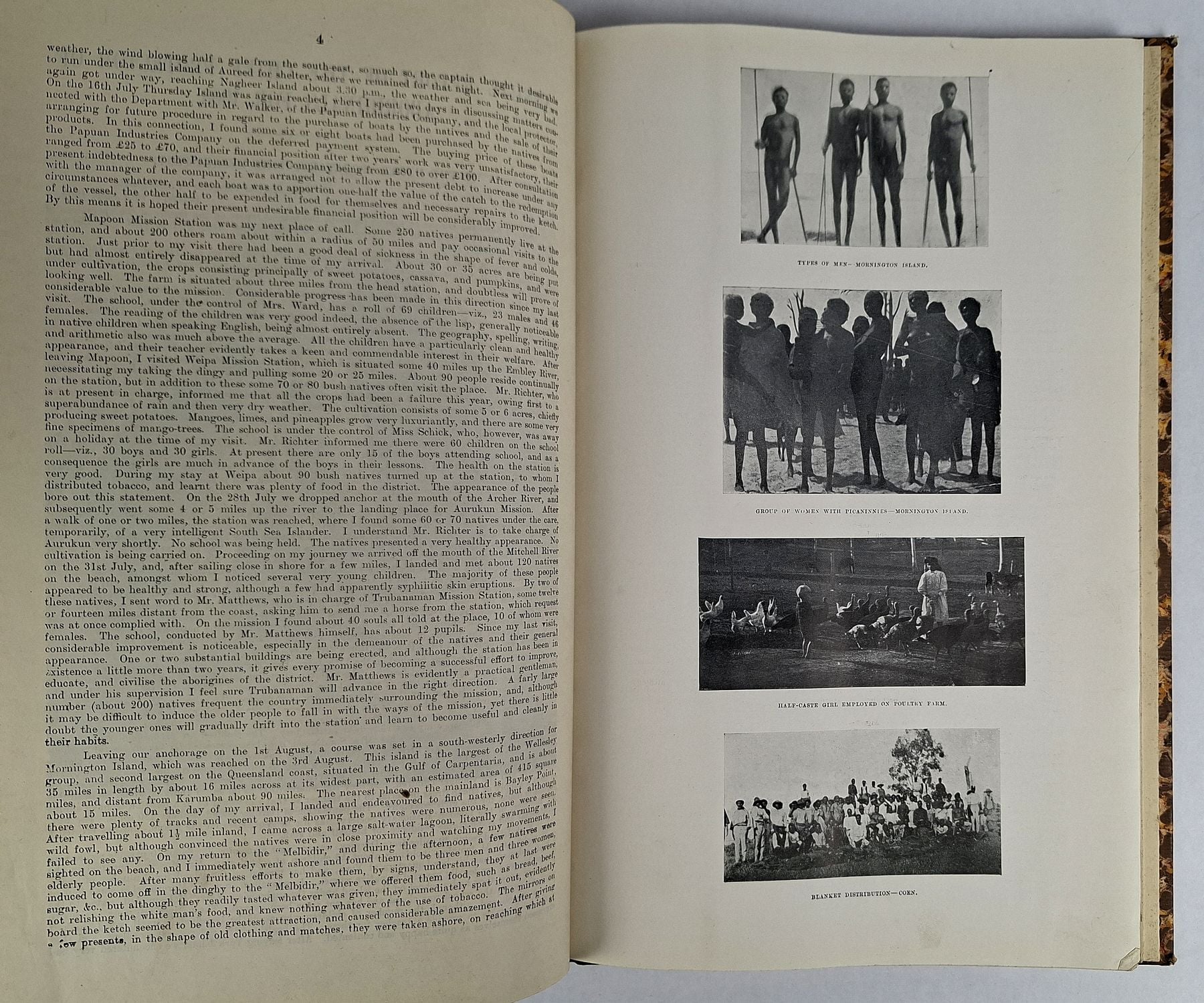 Annual Report of the Northern Protector / Chief Protector of Aboriginals, 1903-1909 - Image 4