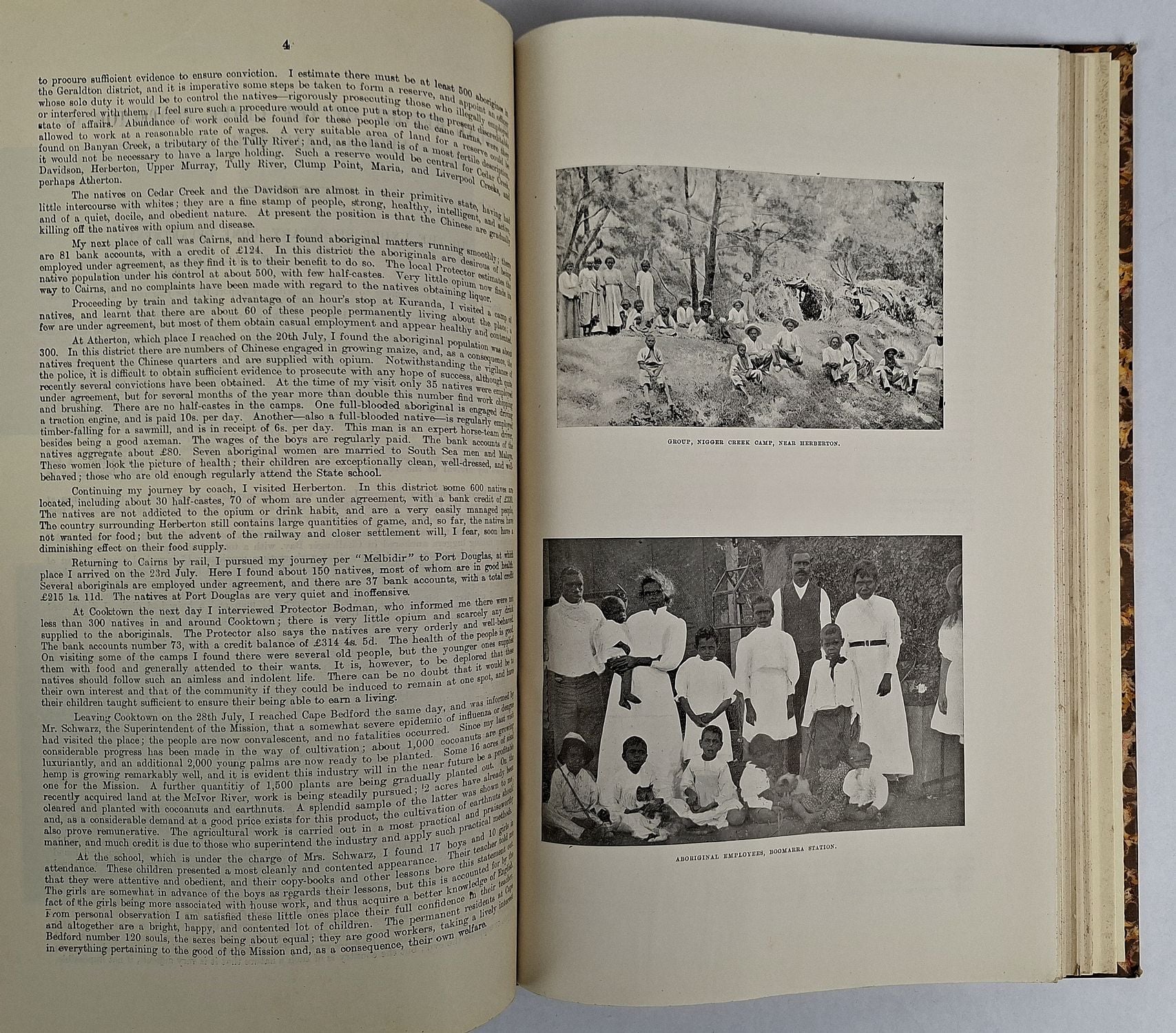 Annual Report of the Northern Protector / Chief Protector of Aboriginals, 1903-1909 - Image 5