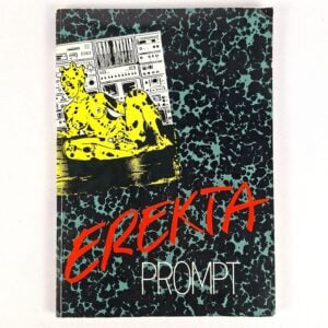Erekta Prompt
