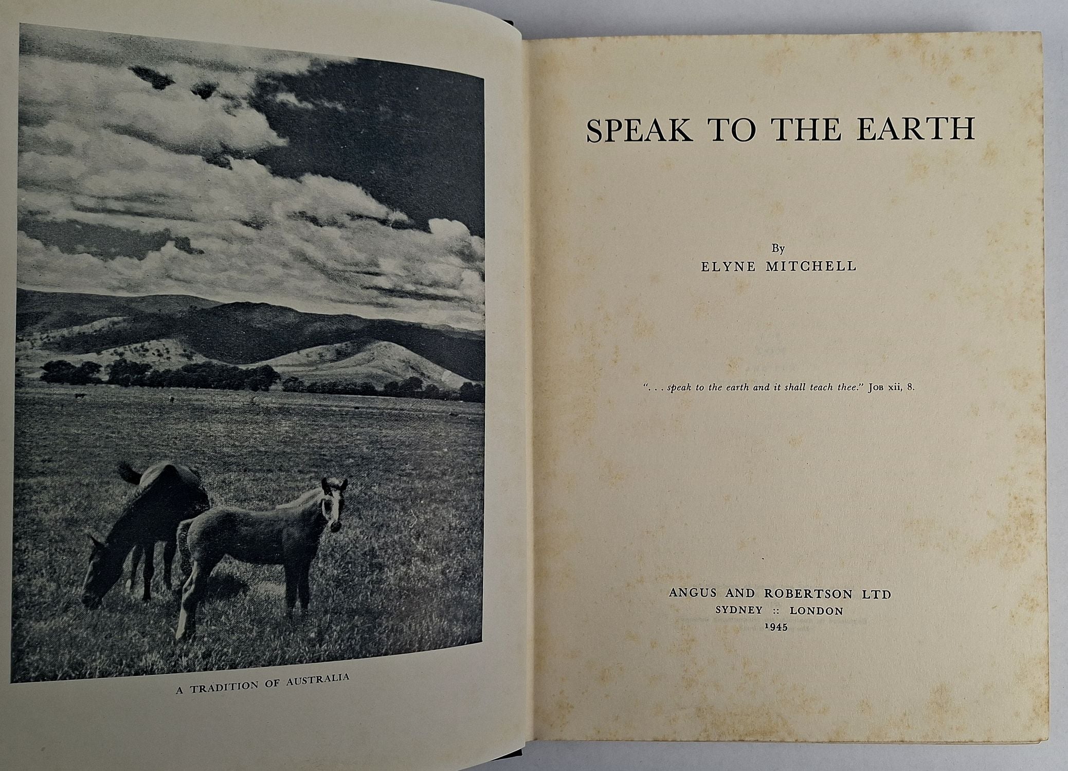 Speak to the Earth - Image 2