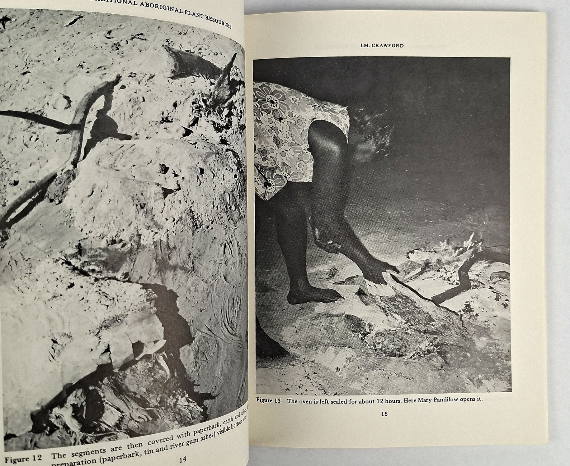 Traditional Aboriginal Plant Resources in the Kalumburu Area: Aspects in Ethno-economics - Image 2
